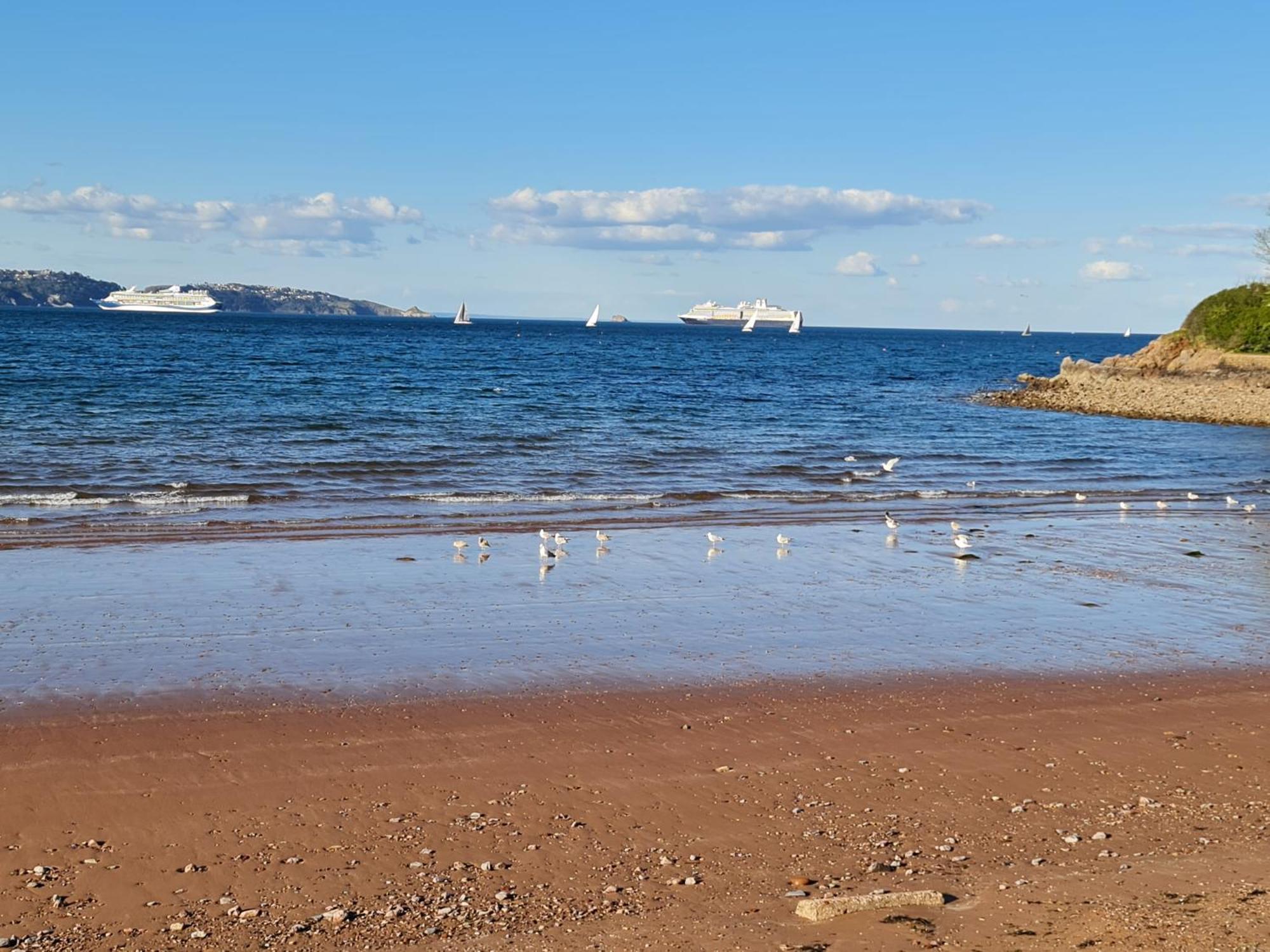 Seaspot Is A 1 Bed Annex Ground Floor Apartment At Stunning Broadsands Beach Nr Brixham! Churston Ferrers Buitenkant foto